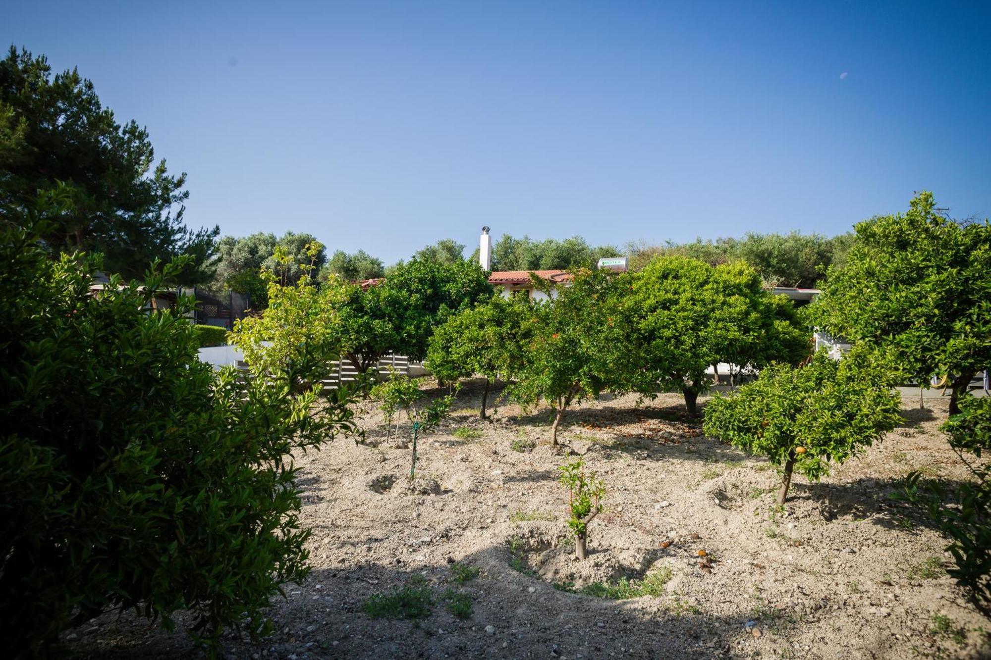 Villa Metochi Rethymno  Exterior photo